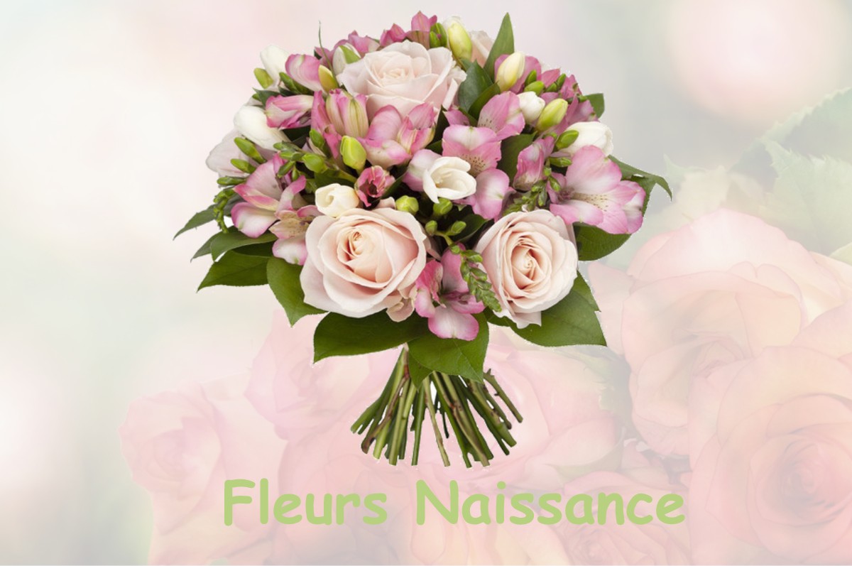 fleurs naissance VEUREY-VOROIZE