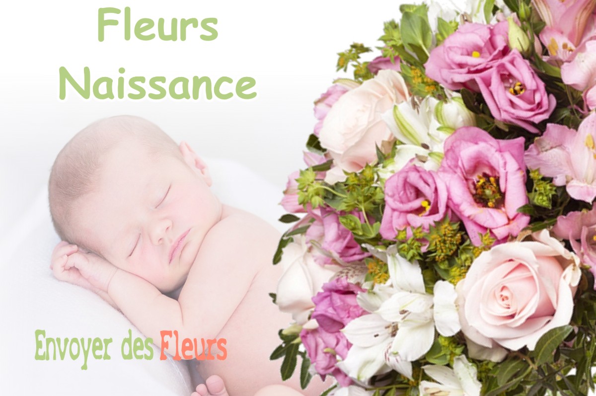 lIVRAISON FLEURS NAISSANCE à VEUREY-VOROIZE